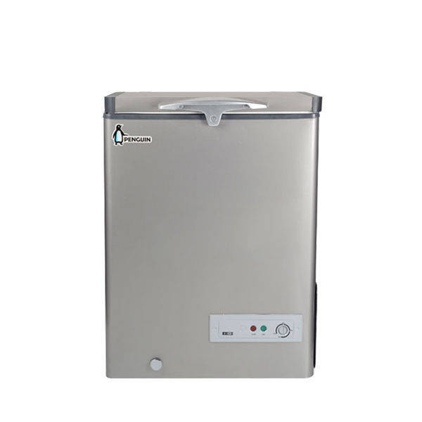 Penguin Deep Freezer 145liter silver - ES-171L