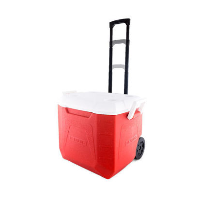 Fresh Ice Box 48 liter With Trolly Red&Blue - 500006712