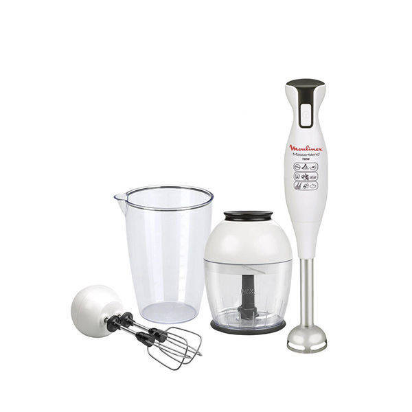Moulinex Hand Blender 700 Watt Silver - DD114BEG