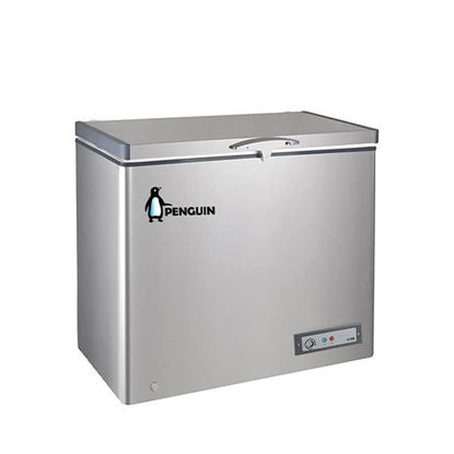 Penguin Deep Freezer 250 liter silver - ES290-L
