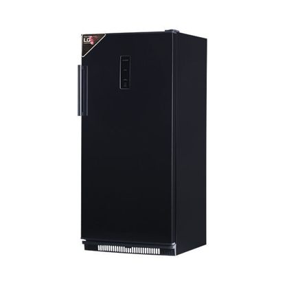 Passsp Upright Freezer 5 Drawers Digital 240 Liter LG Compressor Black NVF 240