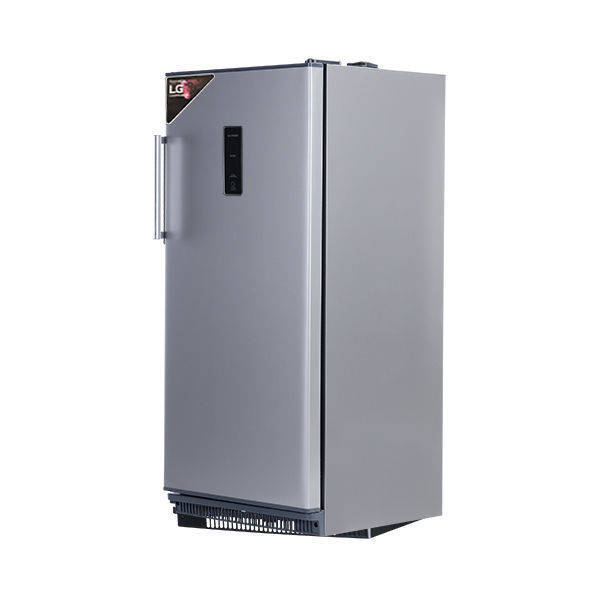 Passsp Upright Freezer 5 Drawers Digital 240 Liter Silver NVF 240