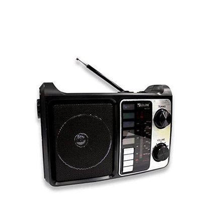 Golon Bluetooth Speaker and FM Radio with LED Lights - Black - RX-333	