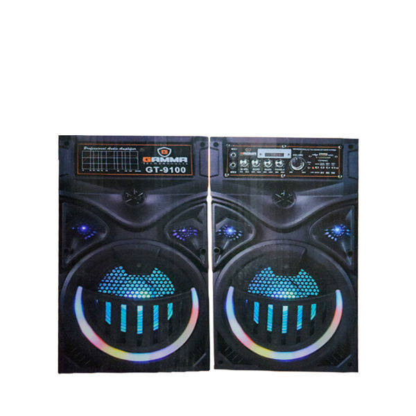 Gamma Subwoofer GT-9100