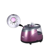 DSP Garment Steamer 2000 Watt 2.5 Liter With Thermostat Controlled Purple KD6016