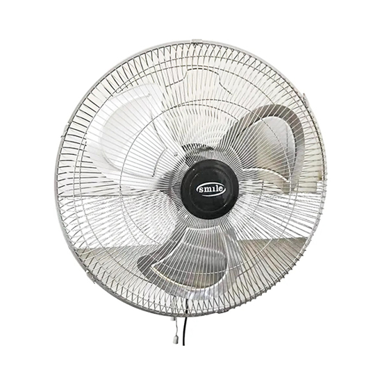 Smile Wall Fan 20 Inch, Silver, SML-20W