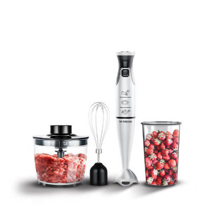Fresh Hand Blender 1000 Watt Stainless HB-1000 C
