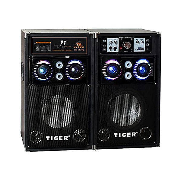 Tiger Subwoofer 10 Inch Black - 11700