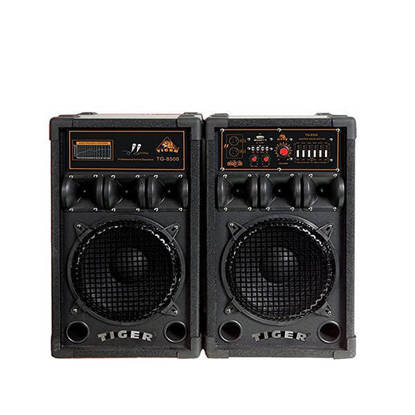 Tiger Subwoofer 10 Inch Black - 8500