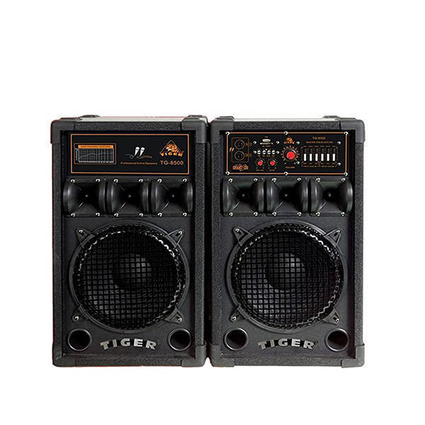 Tiger Subwoofer 10 Inch Black - 8500