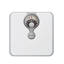 Salter Magnified Display Mechanical Bathroom Scales, White - 484 WHDR