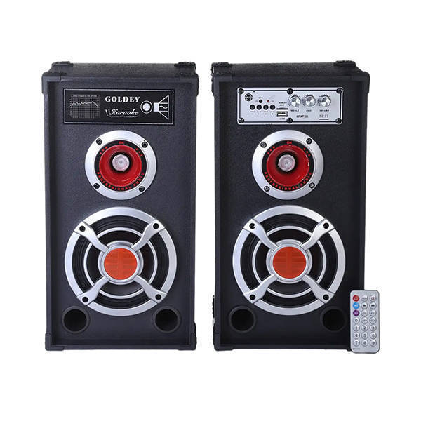 Subwoofer Goldy USB Input Black - V-501-506
