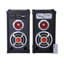 Subwoofer Goldy USB Input Black - V-501-506