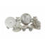 Drobina GIGI - BONE PEARL 60 Pieces Chinese Dinnerware Sets White*Gold - G240907